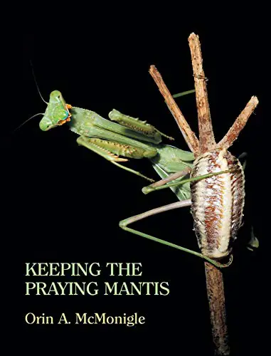 Keeping the Praying Mantis