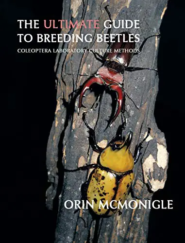 The Ultimate Guide to Breeding Beetles