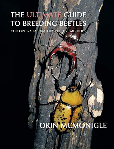 The Ultimate Guide to Breeding Beetles