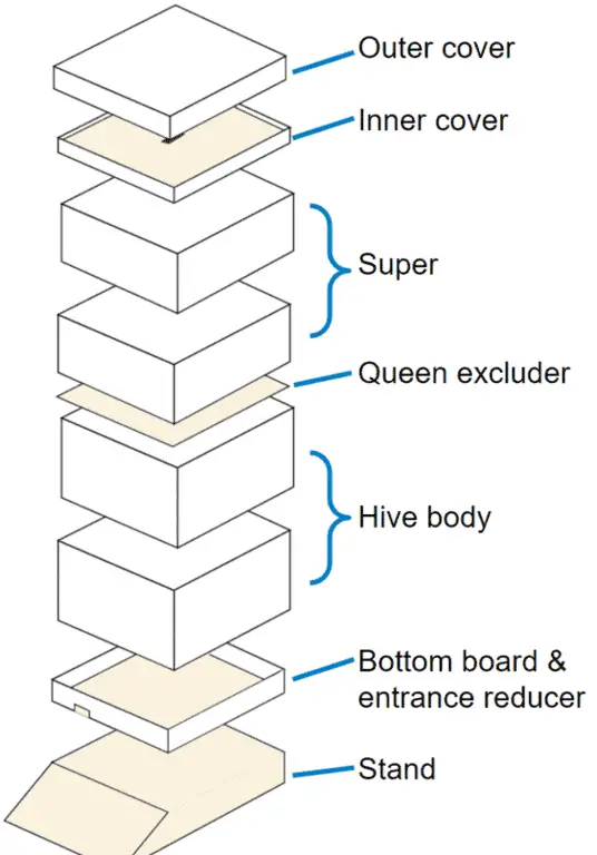 Langstroth hive structure