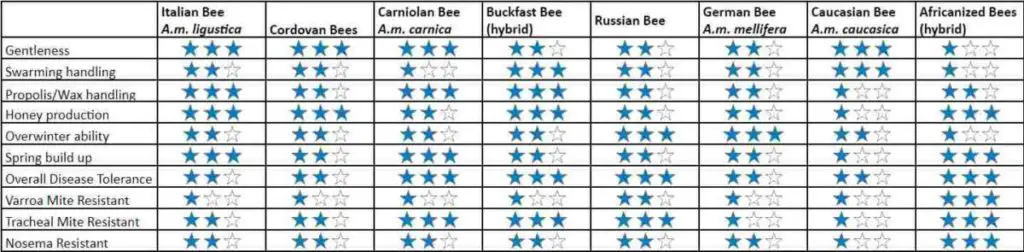 Honey Bee Stocks Comparison Table