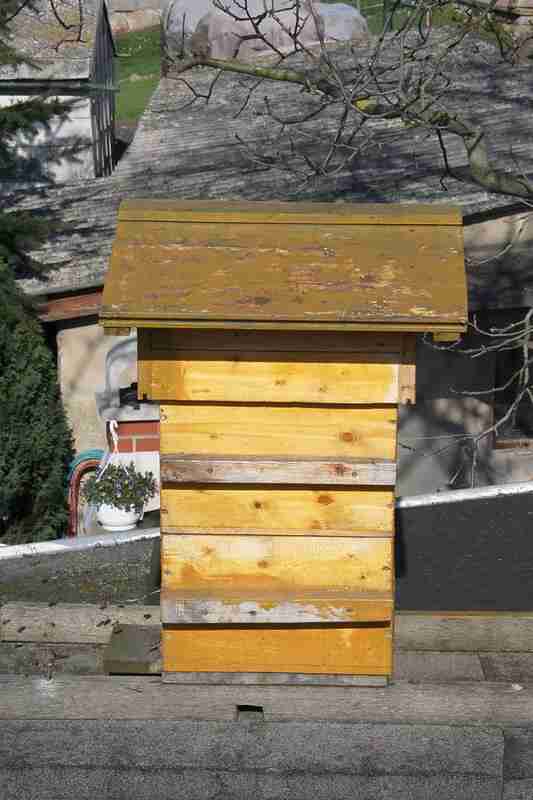 warre hive