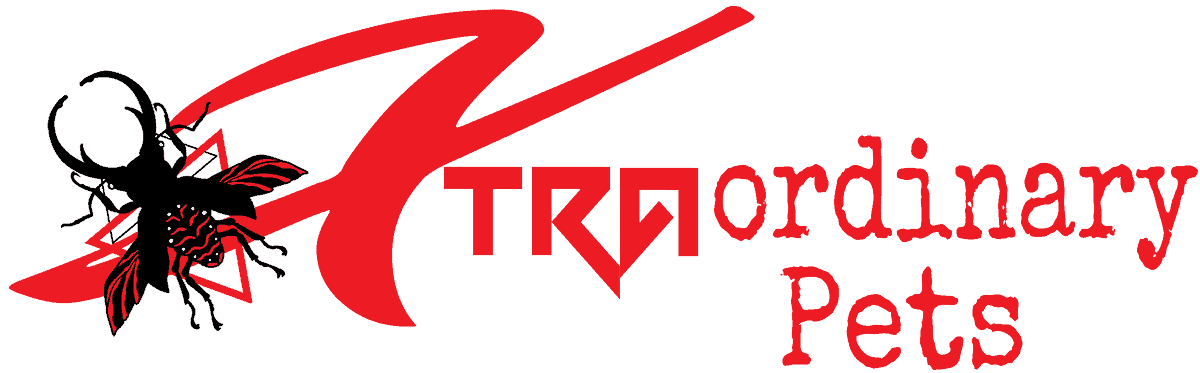 Xtraordinary Pets
