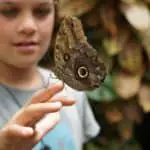 Boy playing with butterfly