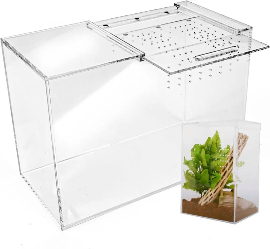 an acrylic tarantula enclosure