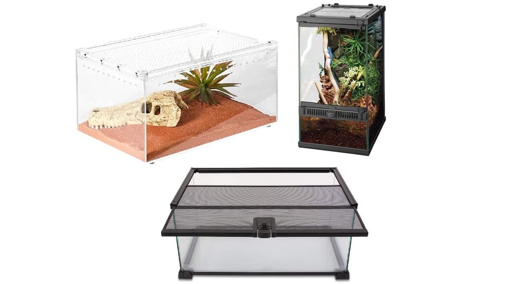 Choosing the Right Enclosure for Critters