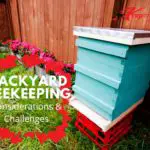 backyard beekeeping considerations