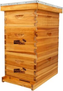 a langstroth beehive